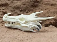 Tête de dragon détaillée — photo 2