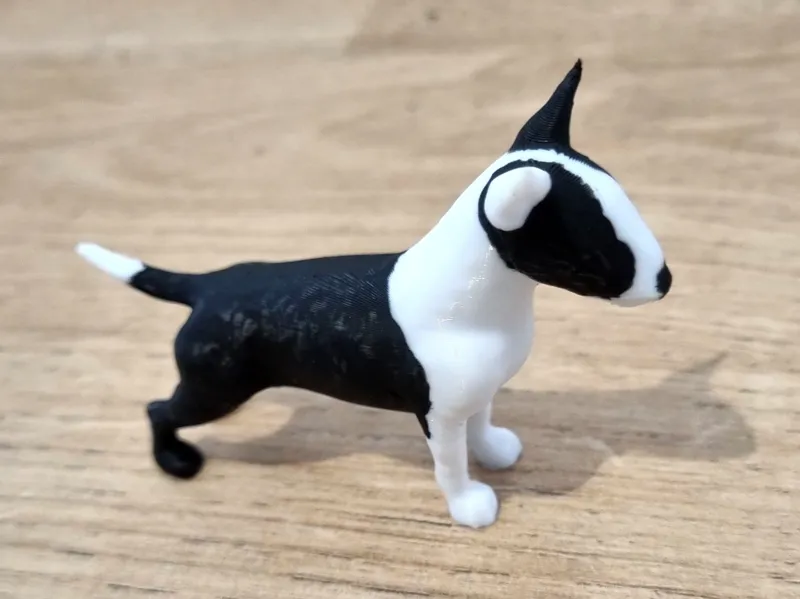 Bull terrier