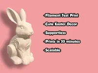 0.2mm layer, 2 walls, 5% infill