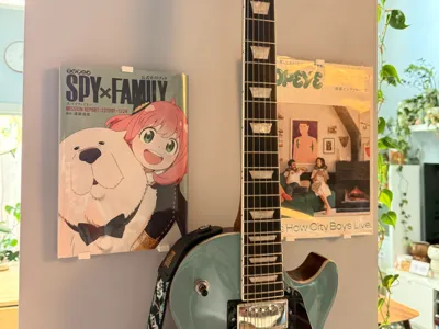 Adjustable Magazine / Comic / Vinyl Wall Display