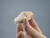 0.16mm layer, 3 walls, 15% infill