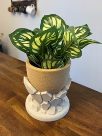 2-Color with Fuzzy Skin Bowl