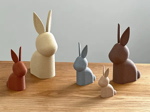 https://makerworld.bblmw.com/makerworld/model/US70d62a0c0d962e/design/2025-02-19_96ee85d6e071c.jpg