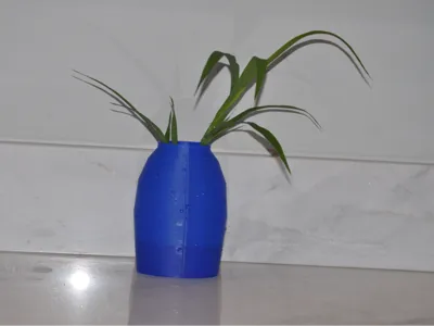 oval vase