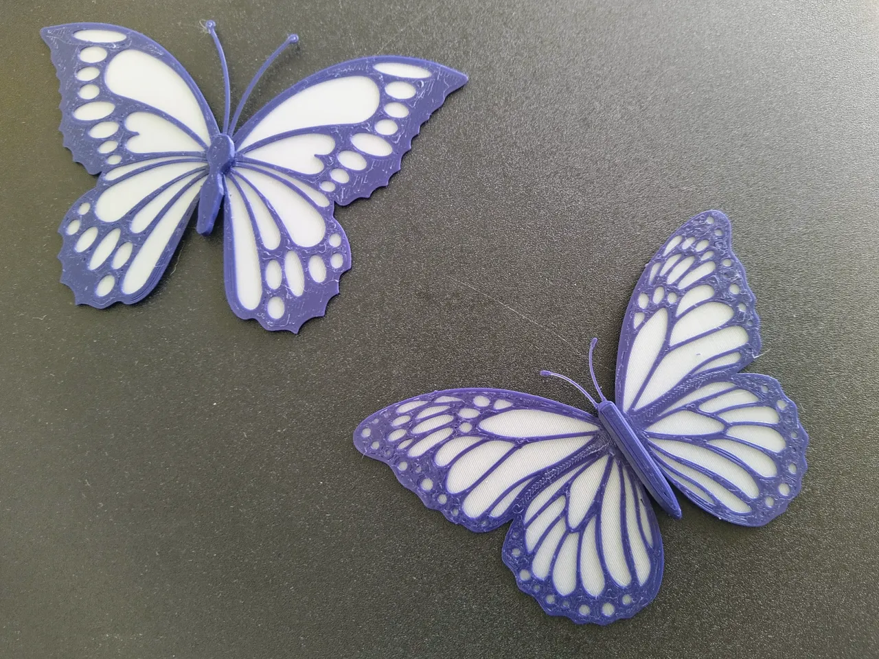 Butterflies view 2