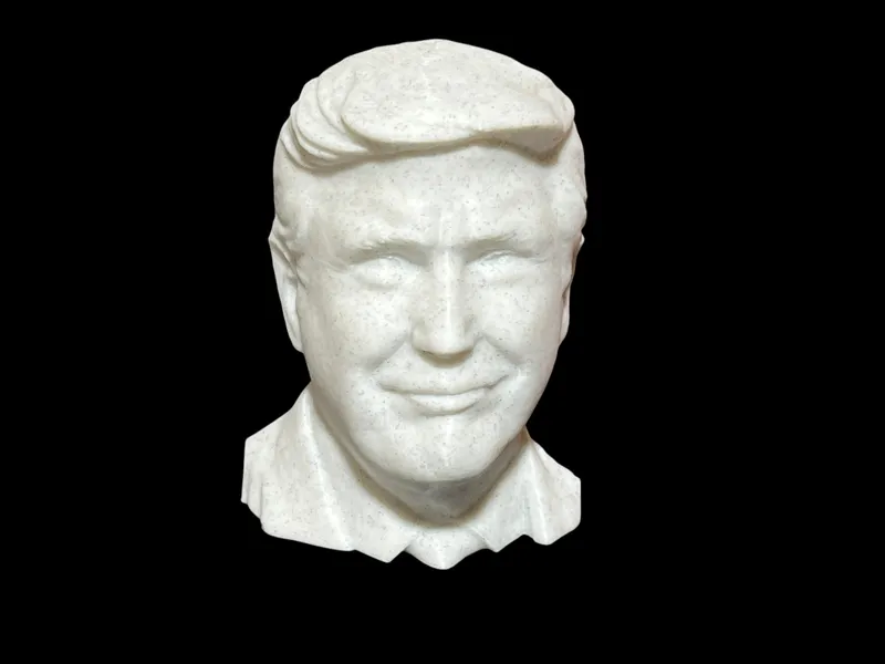 Bust of Mister Donald Trump