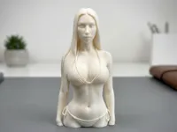 0.16mm layer, 2 walls, 15% infill