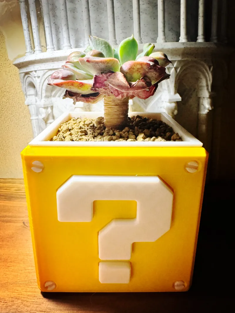 吸水花盆