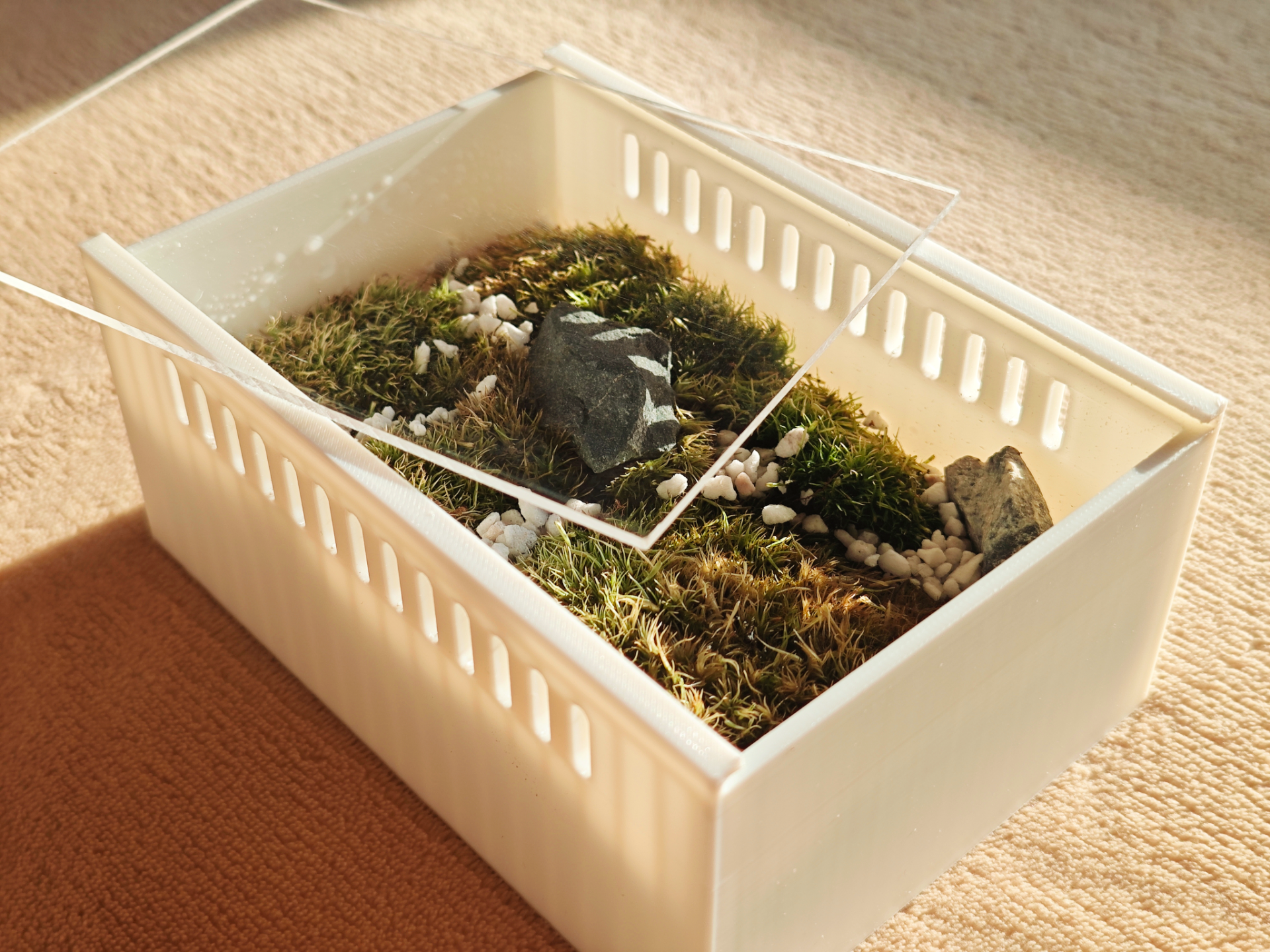 苔藓透气种植盒