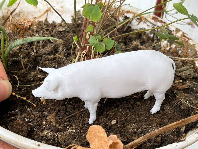 simulation pig model 
