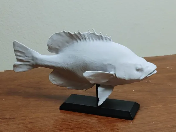https://makerworld.bblmw.com/makerworld/model/US70e8efd80a2932/design/2024-11-27_507551fff5089.jpg