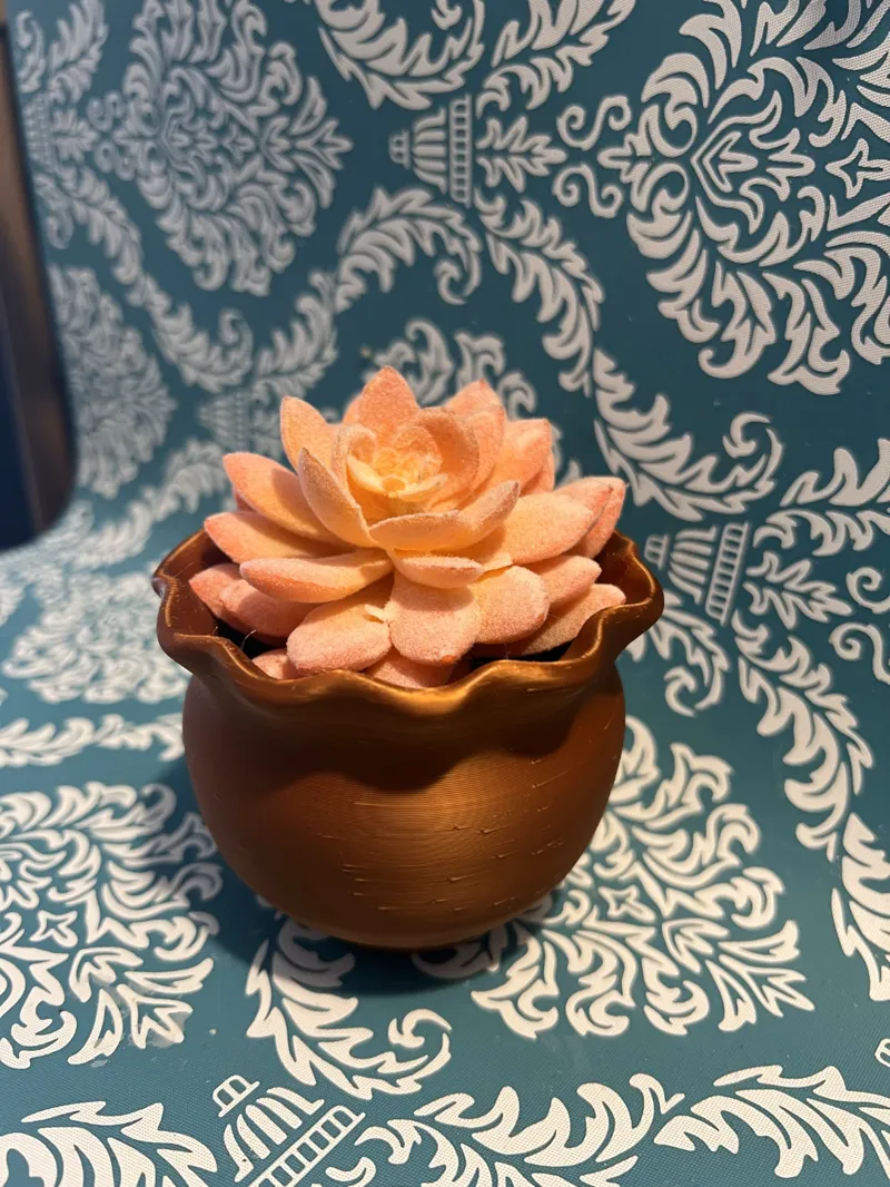 Clay Planter (holds water!)