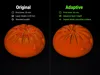 Adaptive Layers â Better Detail, Same Time