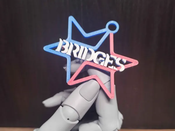 https://makerworld.bblmw.com/makerworld/model/US70f47e5f5ed132/design/2024-11-15_b0bfdb60da573.jpg