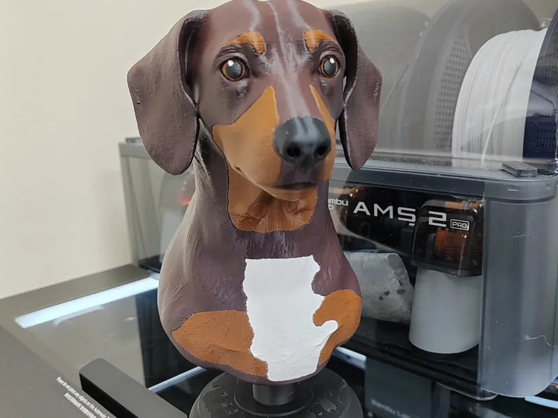 Dachshund / Sausage Dog bust