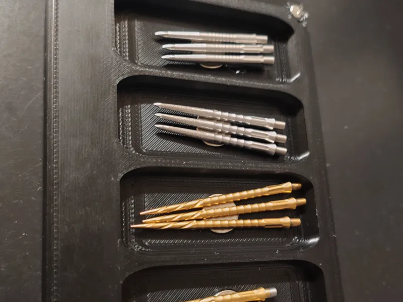 Caliburn EVO Dartspitzen Case Etui mit Spitzentool