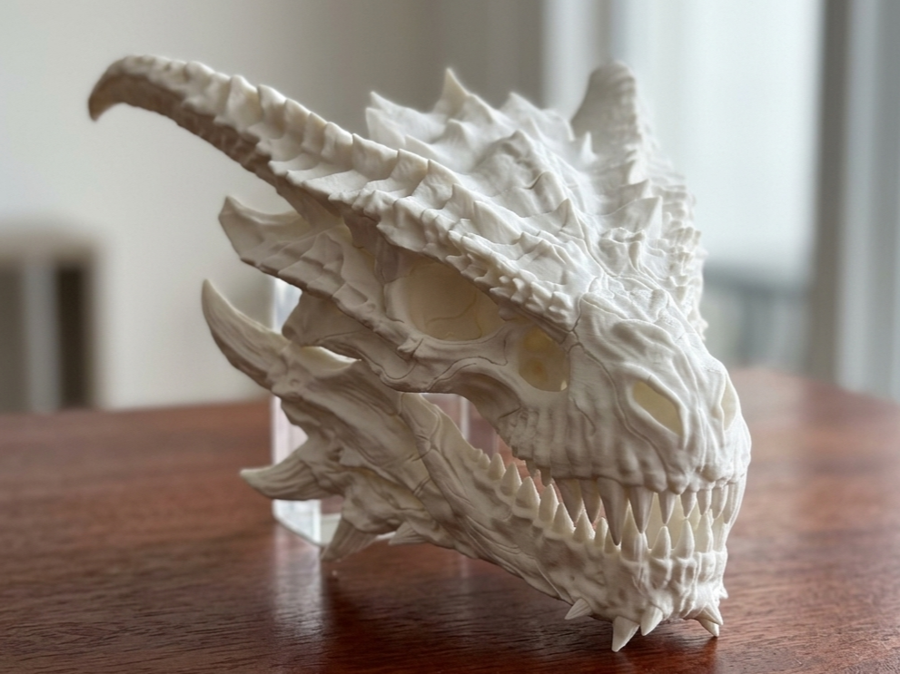 Cráneo de Dragon Silverwing de House of the Dragon - 1