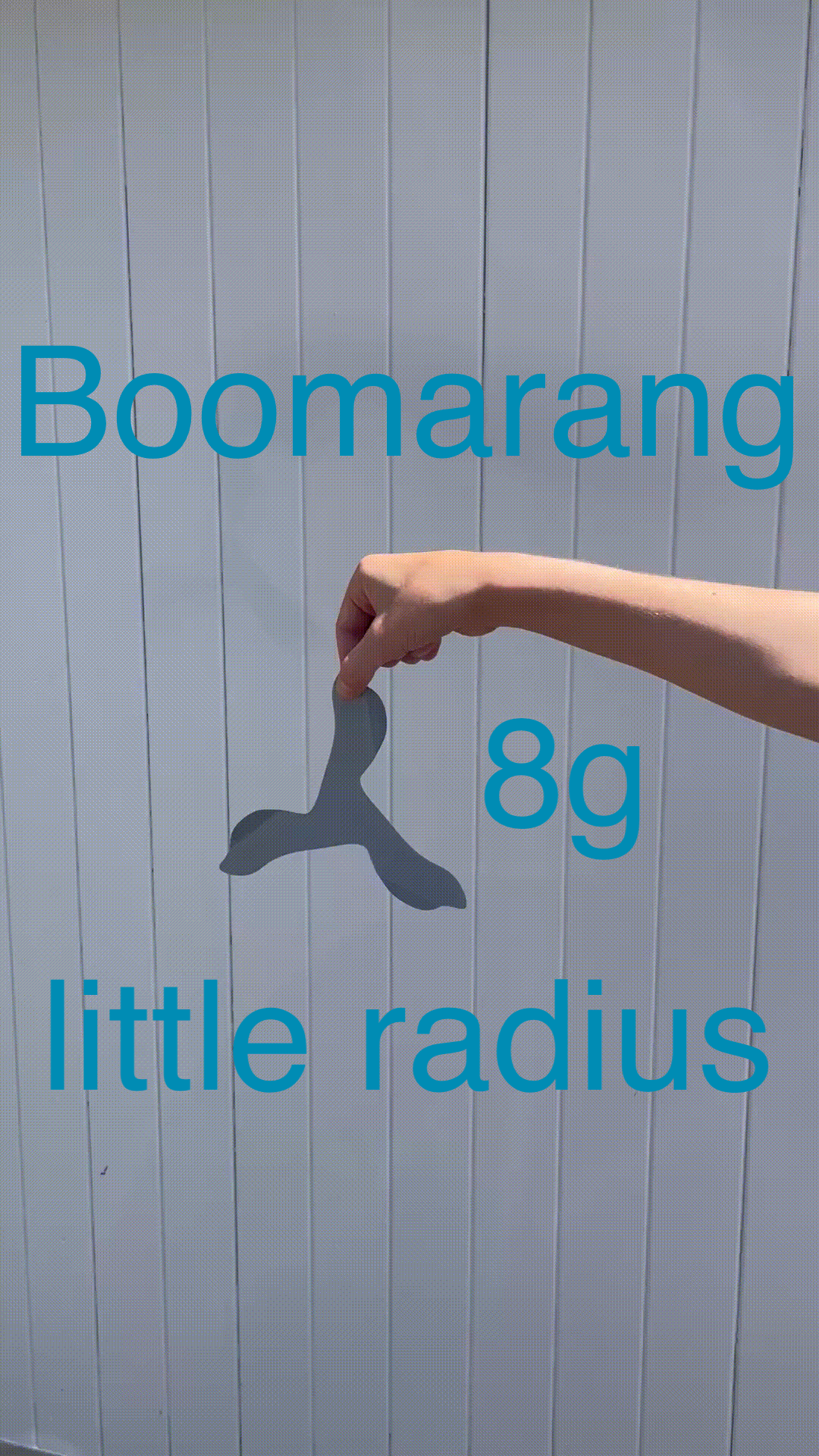 leichter Boomarang