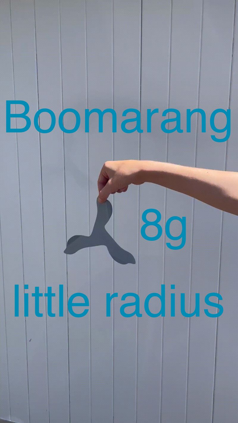 leichter Boomarang