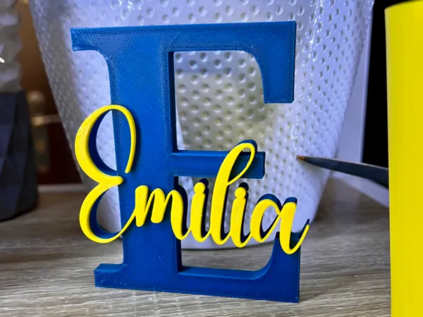 https://makerworld.bblmw.com/makerworld/model/US711895575ab42/design/2025-03-08_4ce1b759788b28.jpg