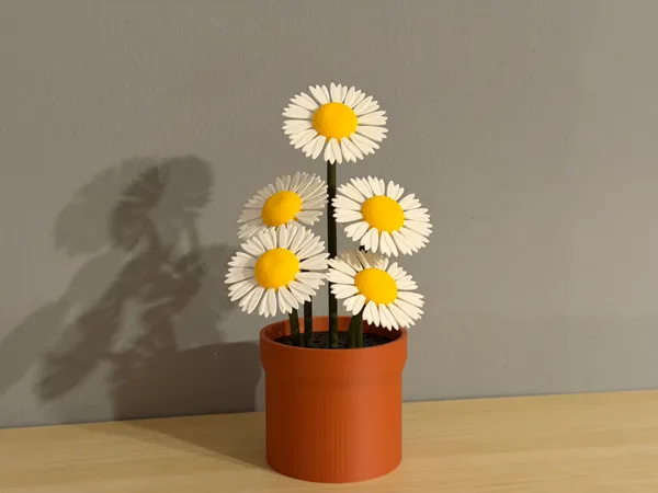 https://makerworld.bblmw.com/makerworld/model/US711b4d1838c17e/design/2025-11-22_0a60236733a47.jpg