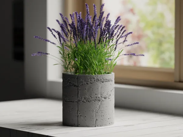 https://makerworld.bblmw.com/makerworld/model/US711e39d254b935/design/2024-05-24_f948324df5e54.png