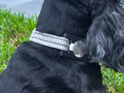 Dog collar AirTag holder 20mm