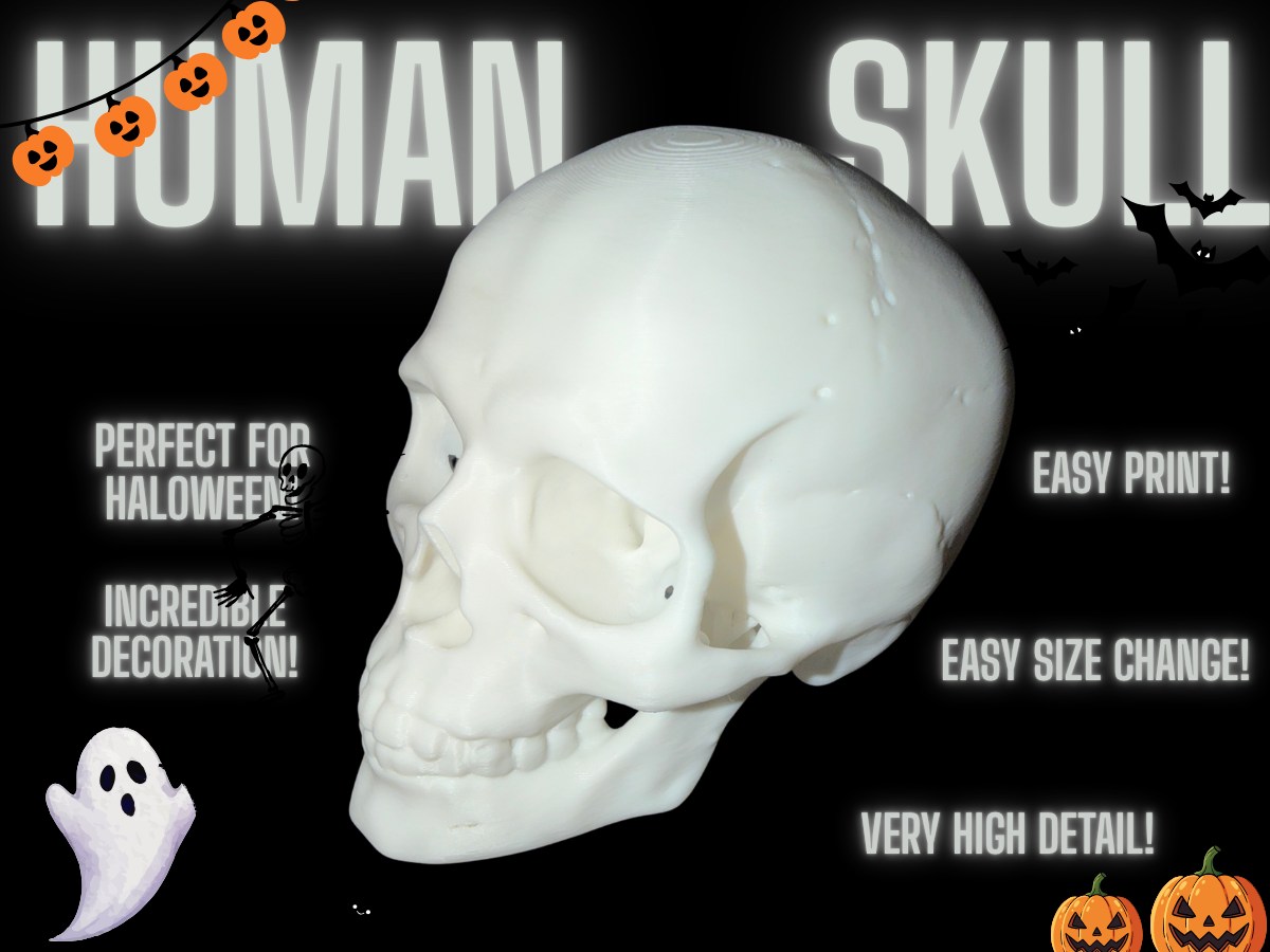halloween skull - 3D printed Other Art Models, in stock in India