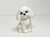 Bichon Cute Puppy - AMS Version