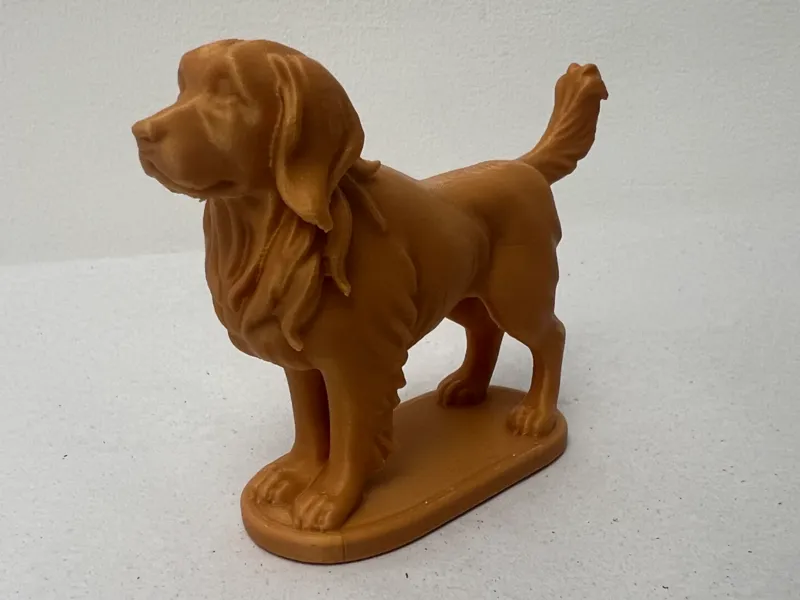Goldenretriver