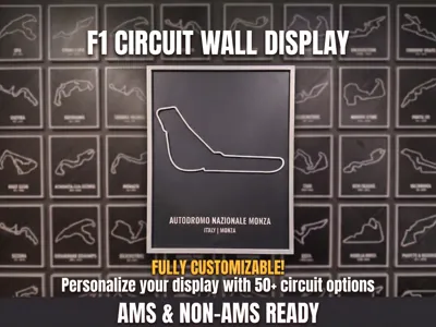 F1 Circuit Wall Display