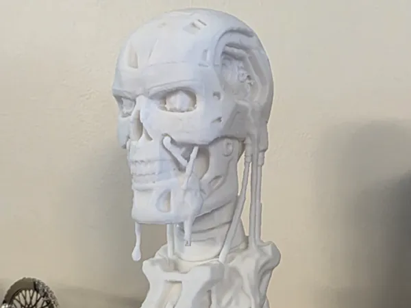 https://makerworld.bblmw.com/makerworld/model/US71285f17f71d90/design/3c178e6652ce1f09.jpg