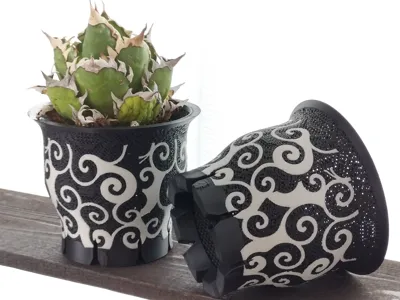 Agave Plant Vase z075 Karakusa 120