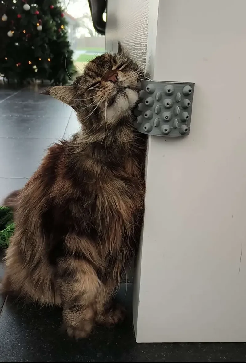 Cat scratch corner
