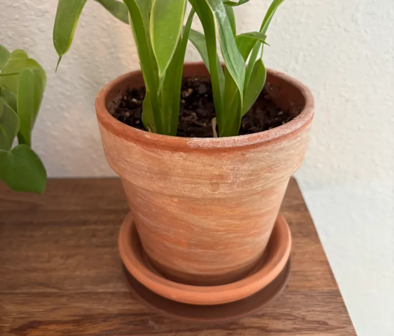 Simple parametric plant tray / drink coaster