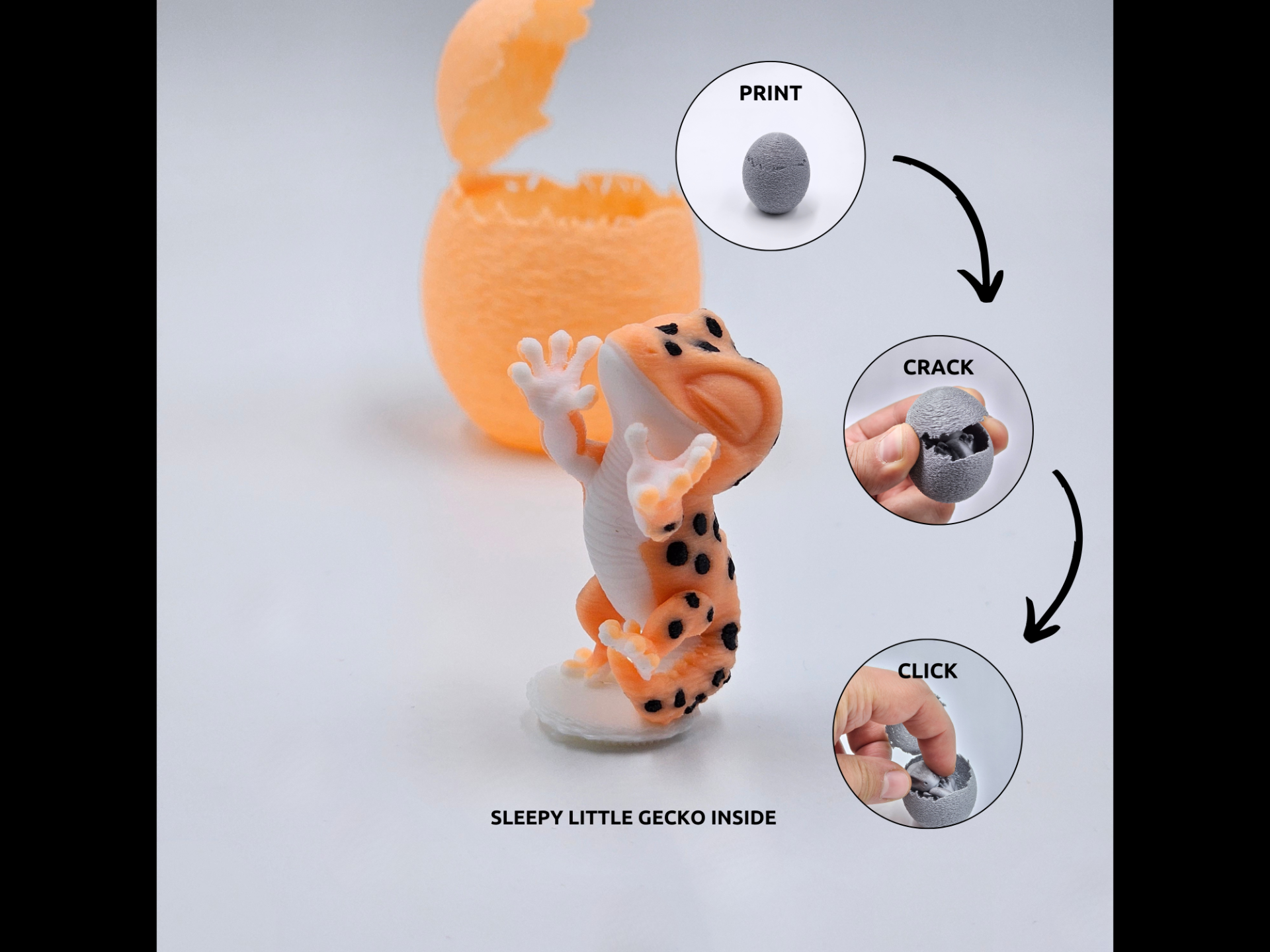 Animal - Egg - Gecko