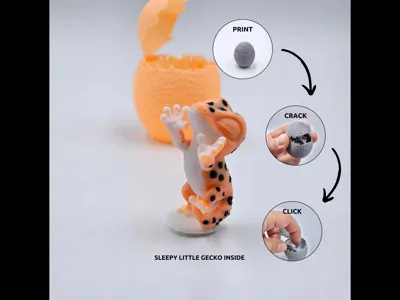 Animal - Egg - Gecko