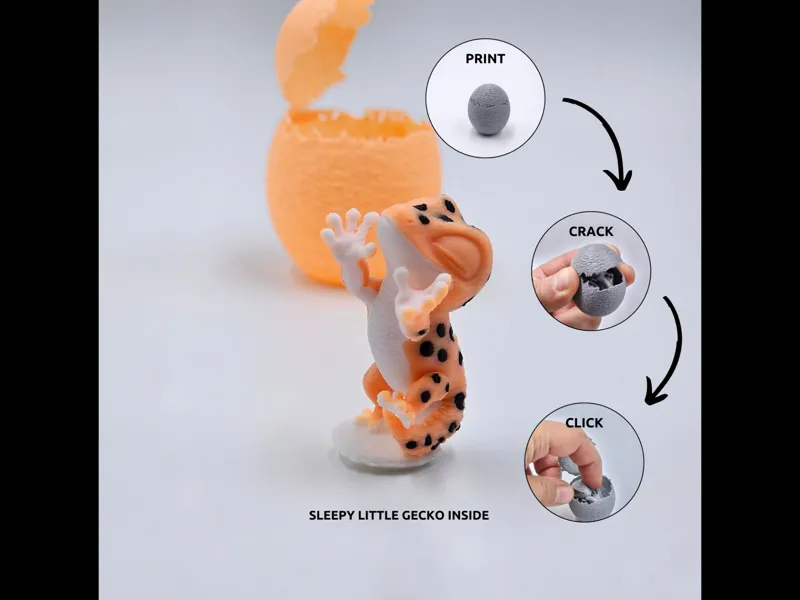 Animal - Egg - Gecko
