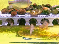 0.2mm 层高, 2 层墙, 15% 填充,无需支撑