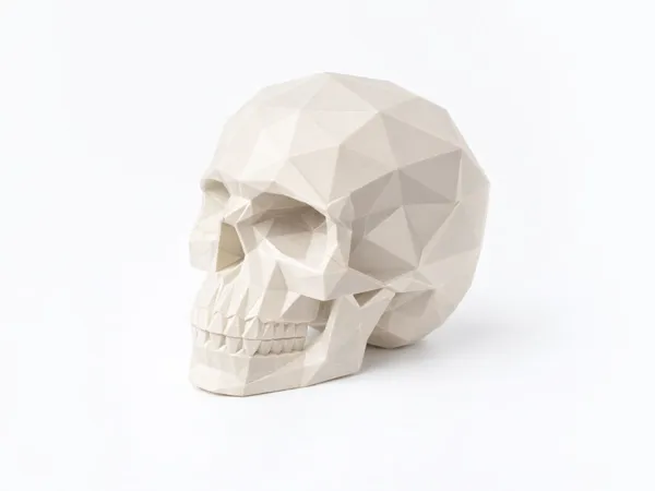 https://makerworld.bblmw.com/makerworld/model/US7133a9ceccf45/design/92fb9eb0a04bc9b6.png