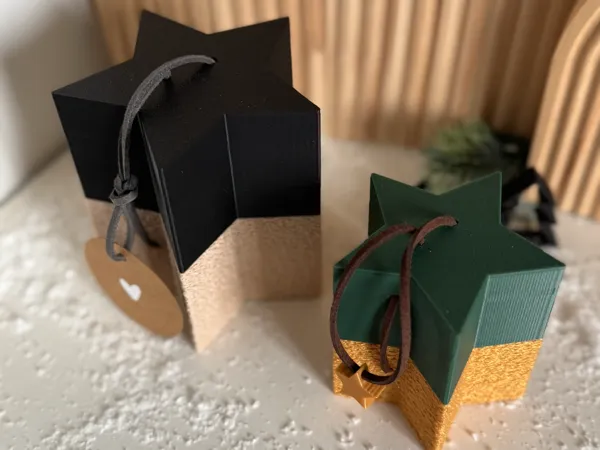 https://makerworld.bblmw.com/makerworld/model/US7135f16381feff/design/2025-12-06_c5244ec84cea6.jpg