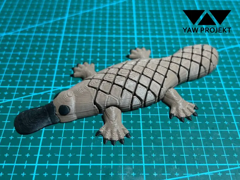 FLEXI PLATYPUS FIDGET