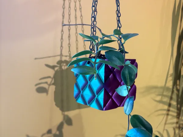 https://makerworld.bblmw.com/makerworld/model/US71375d6de90a3b/design/2025-06-03_51ab2a8e1182d.jpg