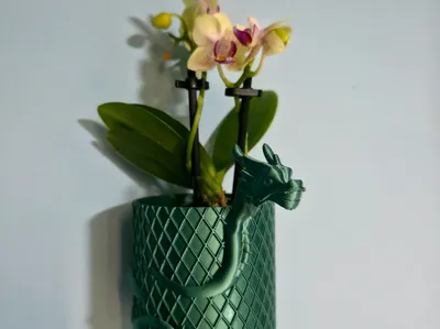 Dragon Wall Planter Pot