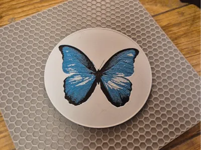 Blue Butterfly Coaster