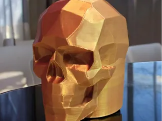 HITCH COVER SKULL