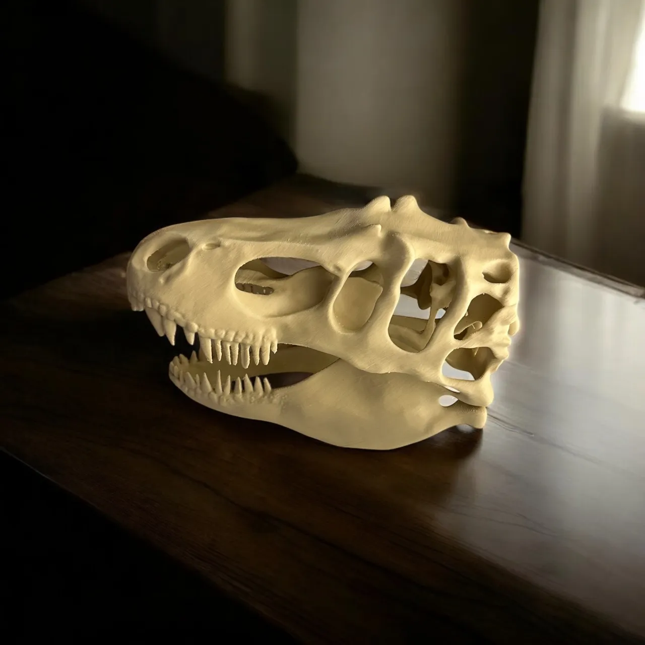 T-rex Skull view 2