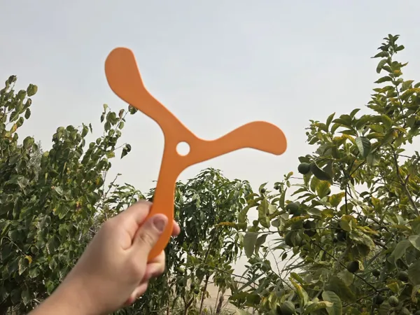 https://makerworld.bblmw.com/makerworld/model/US7145abd4aff456/design/2025-08-11_4a8220023e1628.jpeg