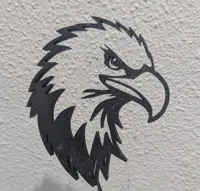 Tête d'aigle — décoration murale — photo 3
