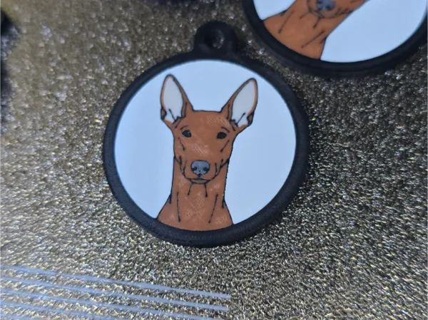 https://makerworld.bblmw.com/makerworld/model/US71488875109f16/design/ebf9aab87f5beb25.jpg
